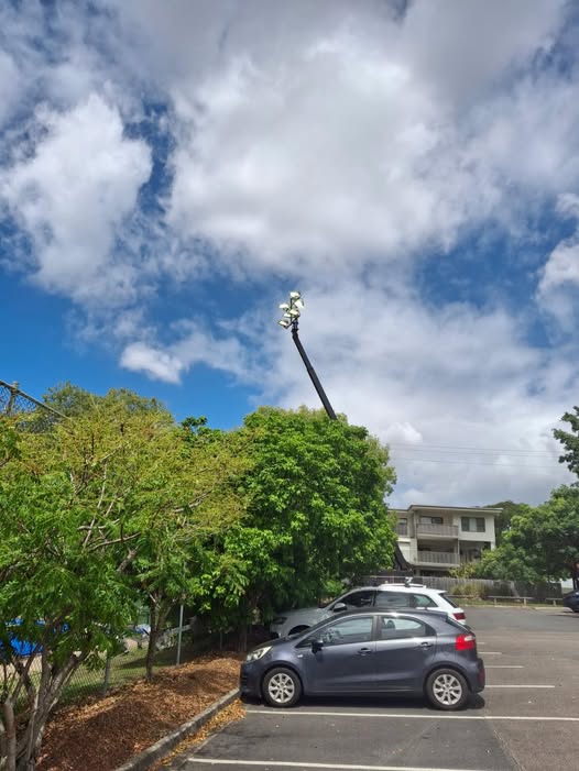 Temporary lighting at BNHC.